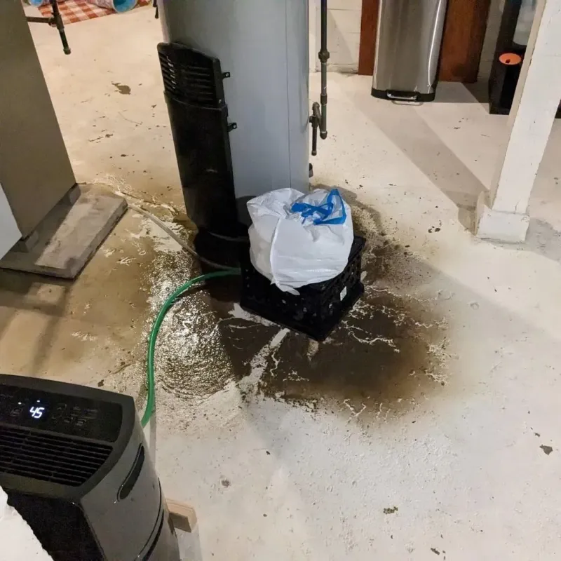 Sewage Backup Cleanup Service in Blountsville, AL